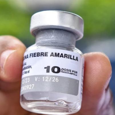Fiebre Amarilla: qué es, cómo prevenirla y la importancia de la vacunación antes de viajar